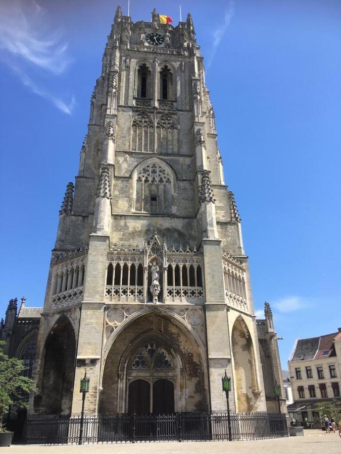 Villa Domus XIX 통게렌 외부 사진